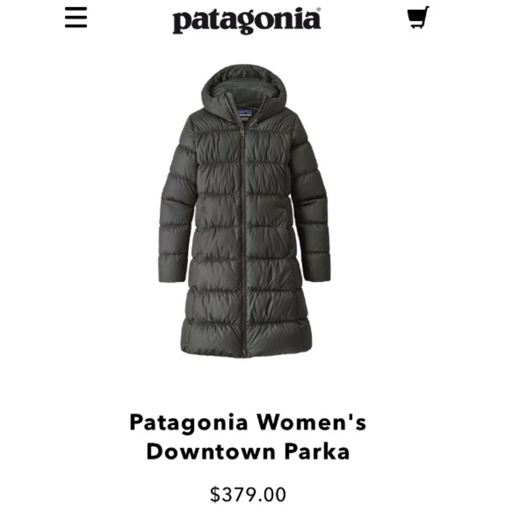 Patagonia Downtown Parka